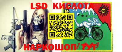 PSILOCYBIN Кулебаки
