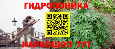 кокс Кунгур